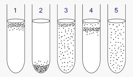 Anaerobic