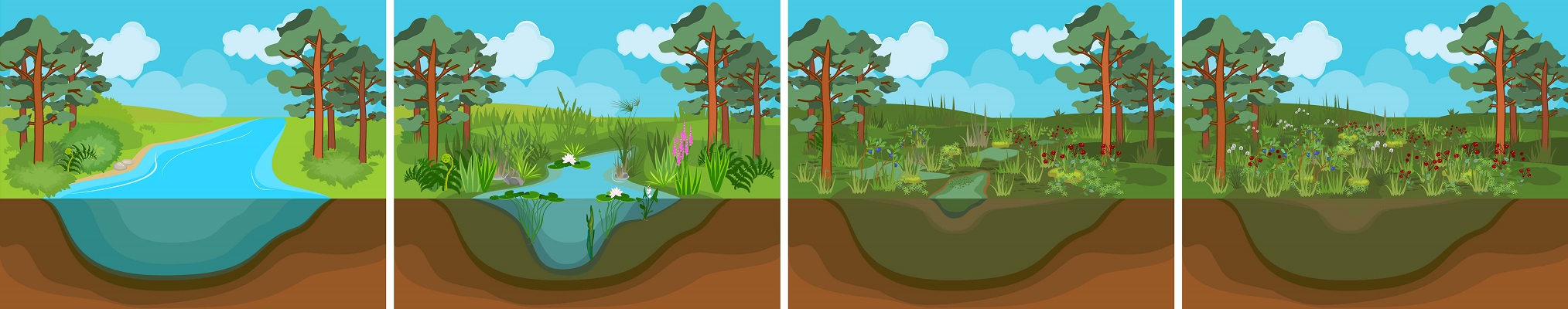 what is the main difference between primary and secondary succession
