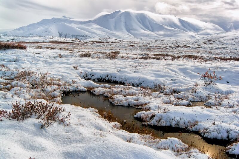 Tundra landscape as an example of an abiotic component