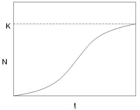 Diagram Of Carrying Capacity