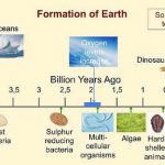 Sexual Reproduction - Definition, Types and Advantages