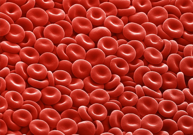 Blood cell