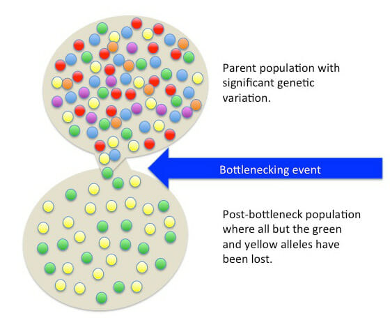 population biology examples