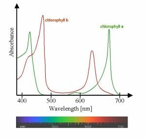 Chlorophyll ab spectra