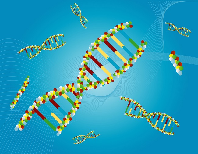 What Is The Definition Of Genetic Drift In Biology