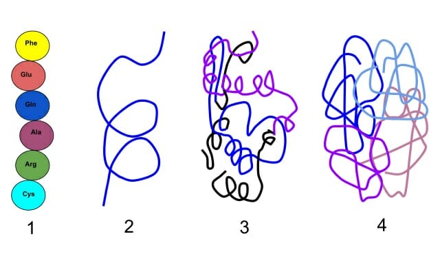 What Does Denature Mean In Biology Examples