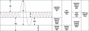 Lung Volume