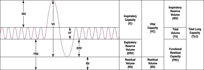 lung tidal volume definition