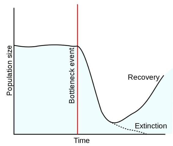 population biology examples