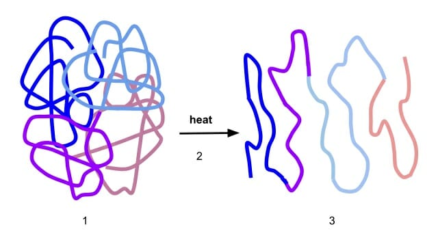 Denature - Definition, Types, Function and Examples | Biology Dictionary