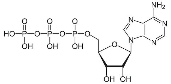 Adenosine Triphosphate Atp Definition Structure And