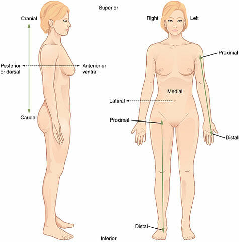 lateral direction definition