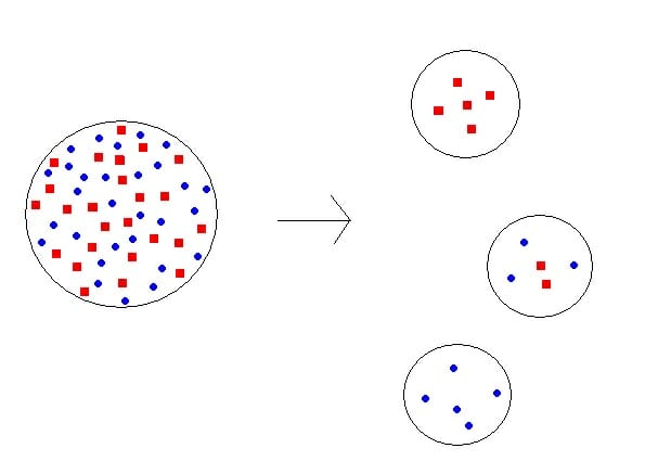 founder-effect-definition-and-examples-biology-dictionary