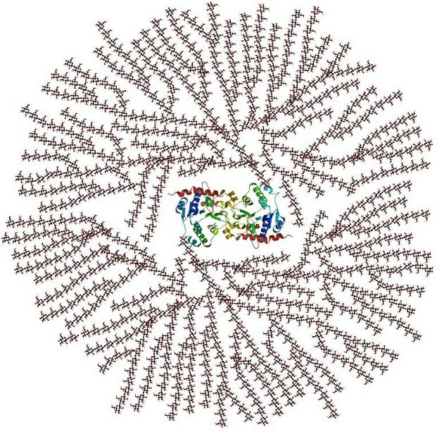 quiz glucose structure Biology   Function Glycogenolysis and Definition,  Quiz