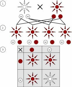 Mendelian inheritance