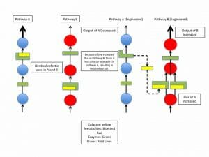 Cofactor engineering map