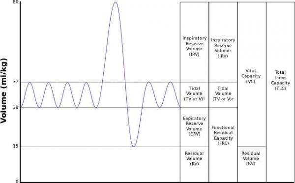 Average Vital Capacity Conversion Chart