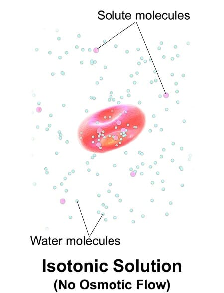 diagram-showing-isotonic-solution-1235756-vector-art-at-vecteezy