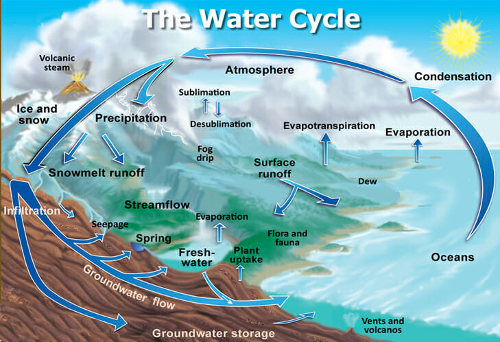 biogeochemical-cycle-definition-and-examples-biology-dictionary