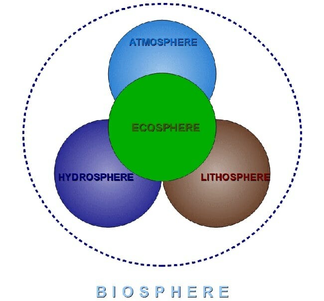 Biogeochemical Cycle Definition And Examples Biology