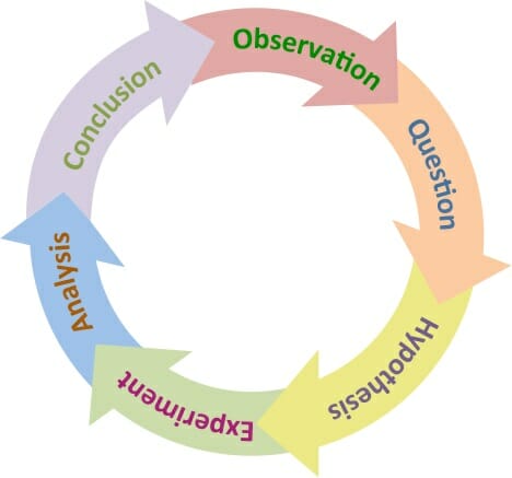 12 Science Processes Chart