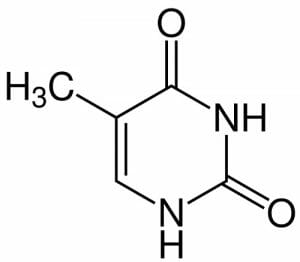 Thymin chemical structure