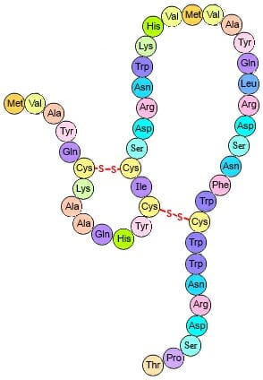 secondary structure of protein ppt