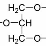 Glycerol - Definition, Structure, Uses and Properties | Biology Dictionary