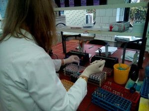 Biochemist working in biochemical laboratory