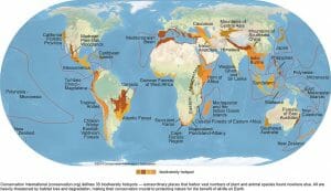 Biodiversity Hotspots Map