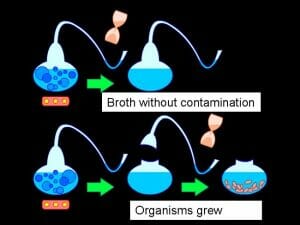 Experiment Pasteur