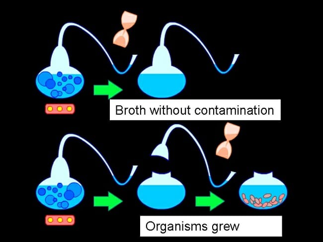 spontaneous generation considered a controlled experiment