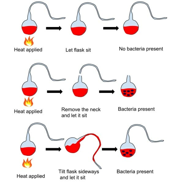 Germ Theory Of Disease Definition History And Quiz Biology Dictionary