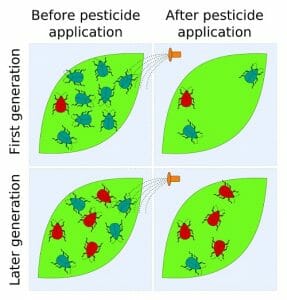 Pesticide resistance