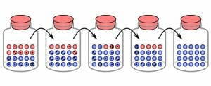 Random sampling genetic drift