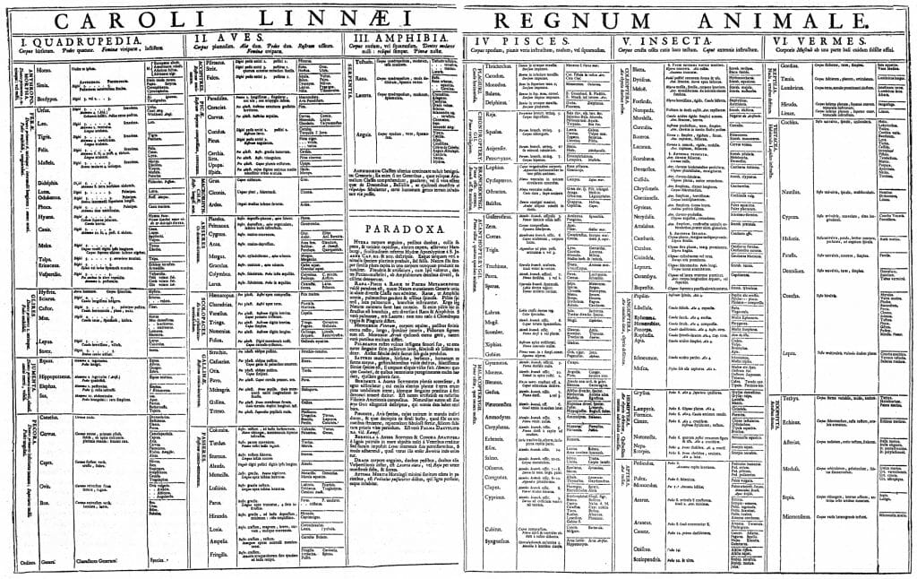 Who Came Up With Binomial Nomenclature Biology Dictionary