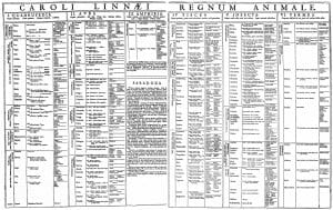 Linnaeus - Regnum Animale (1735)