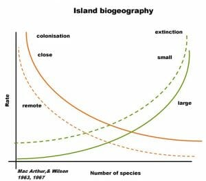 Island biogeography