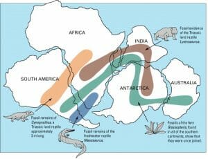 Snider-Pellegrini Wegener fossil map