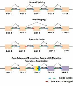 Splicing Slide