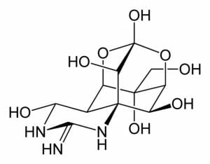 Tetrodotoxin 2D skeletal