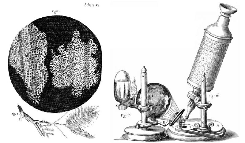 Robert Hooke - England's Leonardo