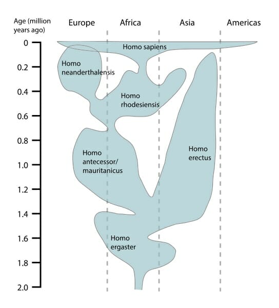 Fossil Record - Definition and Examples | Biology Dictionary