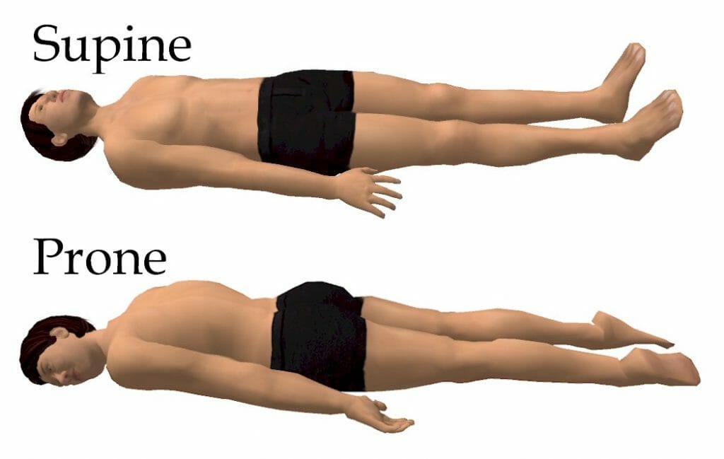 Supine Anatomical Position Definition