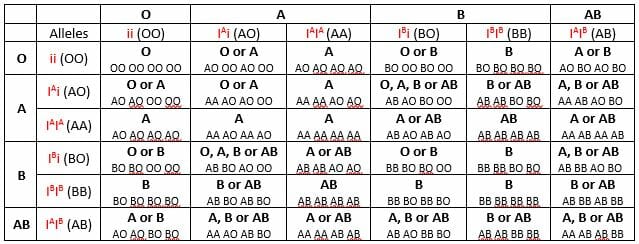 Genotype Chart For Blood Types