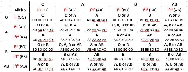 Paternity Blood Chart