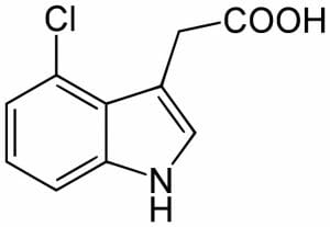 4-Chloroindole-3-acetic acid (4-Cl-IAA)