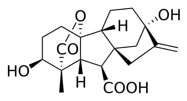 gibberellins structure