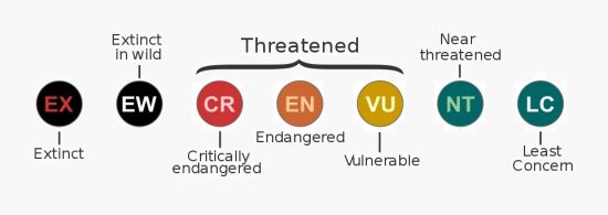 IUCN risk categories