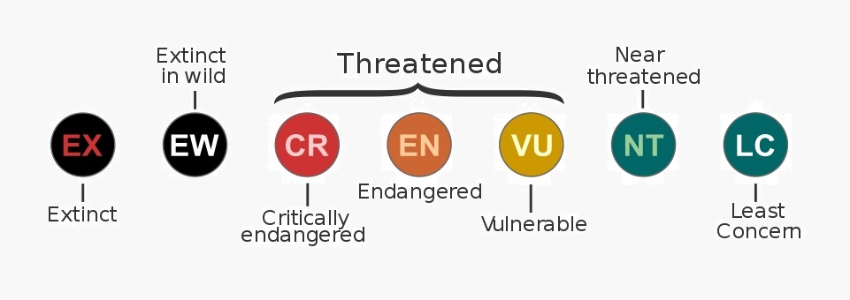  Threatened Species Definition And Examples Biology Dictionary